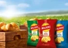 Walkers Launches Major Brand Refresh in Historic 80-Year Milestone