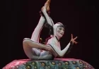 Cirque du Soleil Prepares for ‘Ovo’ Show on Insect Life Cycle