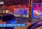 Stabbing at Clark and Lake Station Kills Man, Delays CTA Blue Line