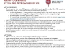 ICE Approaches: Key Resources for Individuals and Nonprofits