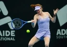 Shnaider Triumphs Early on Day 2 in Adelaide
