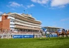 BOYLE Sports Enhances Sponsorship Through Two New Raceday Events