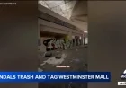 Vandals Strike Closed Westminster Mall