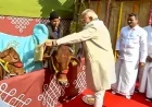 PM Modi: Pongal, a Global Festival Celebrated by Tamils Worldwide