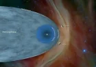 Voyager Explores the Heliopause: Transition from Sun to Stars