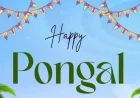 Delightful Pongal 2026 Wishes: Images, Quotes, Messages, and WhatsApp Greetings