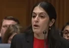 Republican Senator Questions Dr. Nisha Verma About Male Pregnancy Feasibility