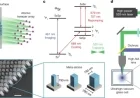 Metasurface Optical Tweezers Capture Individual Atoms in Array