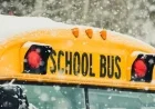 Illinois School Bus Crash: 1 Dead, 11 Injured