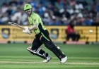 David Warner Surpasses Virat Kohli to Claim No. 3 Spot in Elite T20 Rankings