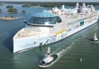 “Royal Caribbean’s 4th ICON Ship, Hero of the Seas, Progresses with Cabins”