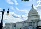 Senate Democrats Push for Crypto Bill Revamp in Industry Call