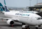 WestJet Reverses Decision on Tight Seating Layout Installation