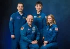 NASA’s SpaceX Crew-11 Set for Wednesday Undocking