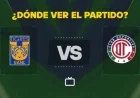 Watch Tigres vs Toluca Live: Free Liga MX Streaming Today