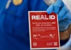 TSA to Charge $45 for Alternative ID Verification Without REAL ID