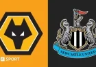 Wolverhampton Battles Newcastle United: Premier League Clash
