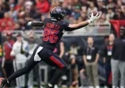 Texans’ TE Dalton Schultz Suffers Calf Injury in Playoff Against Patriots