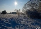Wildlife Bravely Survives Chernobyl’s Winter in Exclusion Zone