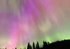 Northern Lights to Illuminate 28 States Tonight in Major Display