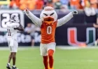 Meet Sebastian the Ibis: Iconic Miami Hurricanes Mascot and UM Traditions
