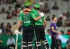 BBL Squad Announced: Stars Prepare for The Knockout Round
