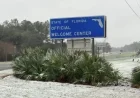 Rare Snowfall Blankets Florida Panhandle, Georgia, and Alabama
