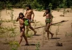 Exploring the Untouched Tribes: Lethal Arrows and Unique Survival Practices