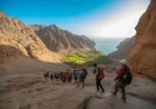 Musandam Hikers Promote Health, Adventure, and Sustainable Tourism in Oman
