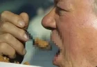 William Shatner Eating Cereal in Car Sparks Internet Frenzy