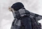 Extreme Cold Wave: Hydro-Québec Prepares to Meet Demand
