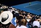Ball Kid Aids Jasmine Paolini After Australian Open Match Disruption