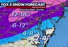 DC Braces for Winter Storm: State of Emergency Declared