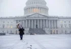 DC Prepares for Major Winter Storm: 10 Inches of Snow, Freezing Rain Expected