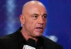 Rogan Claims Trump Distracts with Epstein Files Scandal