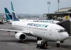 WestJet’s Seating Reversal Exposes Risks in Economy Travel Trends