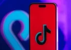 TikTok’s New Terms: Tracking Race, Gender Identity, and Immigration Status?