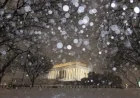 Winter Storm Strikes D.C. Region: Essential Updates