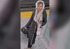 Woman Arrested for Allegedly Vandalizing TTC Stations with Anti-Indian Messages