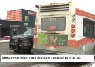 Man Assaulted on Calgary Transit Bus in Northeast Saturday