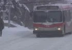 Police Report: Random Attack on NE Calgary Transit Bus Injures One