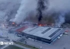 Greece: Violanta Food Factory Blaze Kills at Least Four