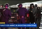 Court Documents Reveal Off-Duty ICE Agent in Fatal Northridge Shooting