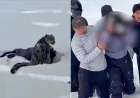 Snow Leopard Attacks Skier Posing for Photo, Video Reveals Shocking Moment