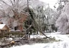 Entergy Louisiana Reveals Power Restoration Timeline After Winter Storm