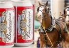 Budweiser Unveils Stunning Super Bowl Ad: Watch Now