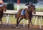 Stormcast, Graded Stakes Winner, Joins F-T Mixed Sale Lineup