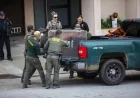 San Francisco Mountain Lion Tranquilized and Relocated Safely
