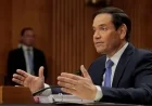 Rubio Testifies on Venezuela at Today’s Senate Hearing