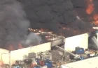 Firefighters Tackle Intense Blaze at South El Monte Recycling Plant